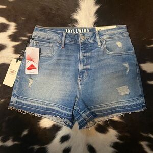 High Rise Shorts